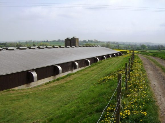 The exterior of a farm.