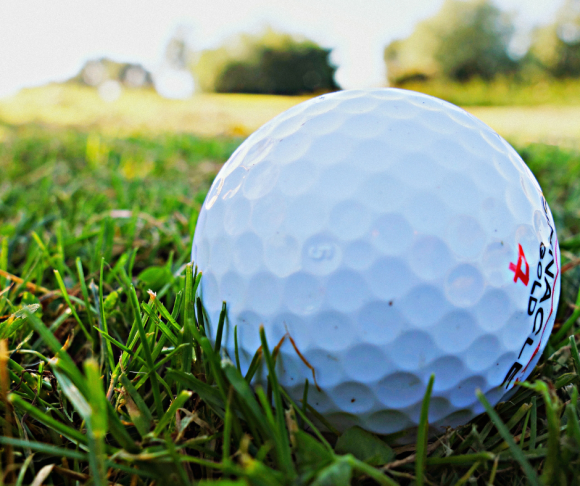 A golf ball on grass.