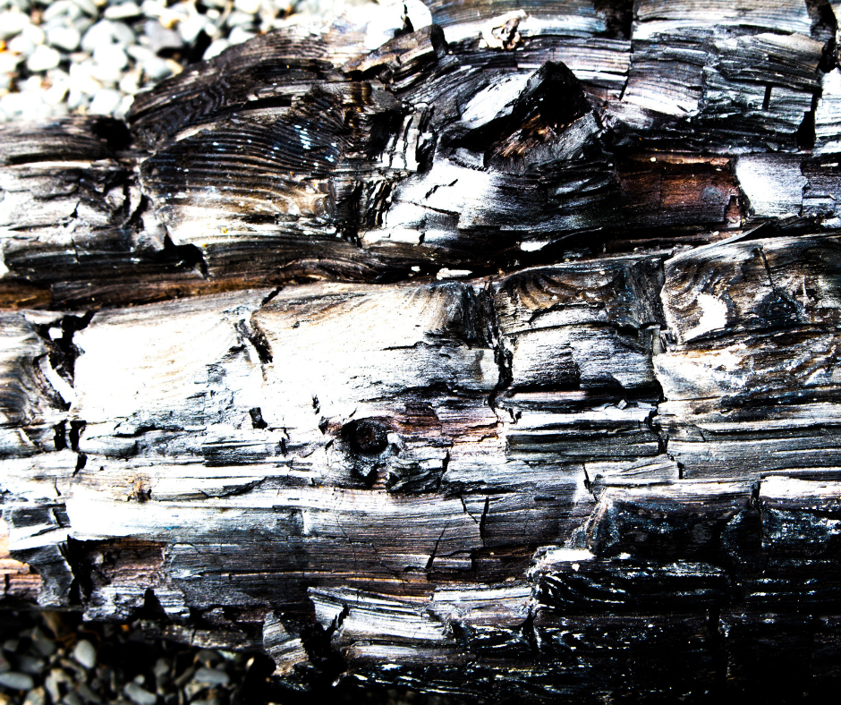 Charred wood