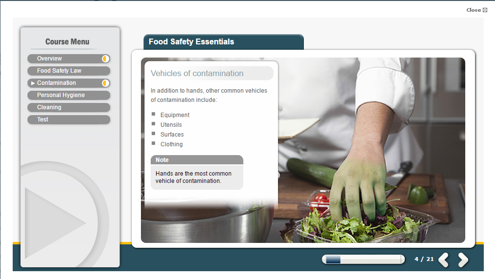 Standard course 1. Food Safety. Food Health Safety. Диджитал фуд сефети. Печать food Safety Control.