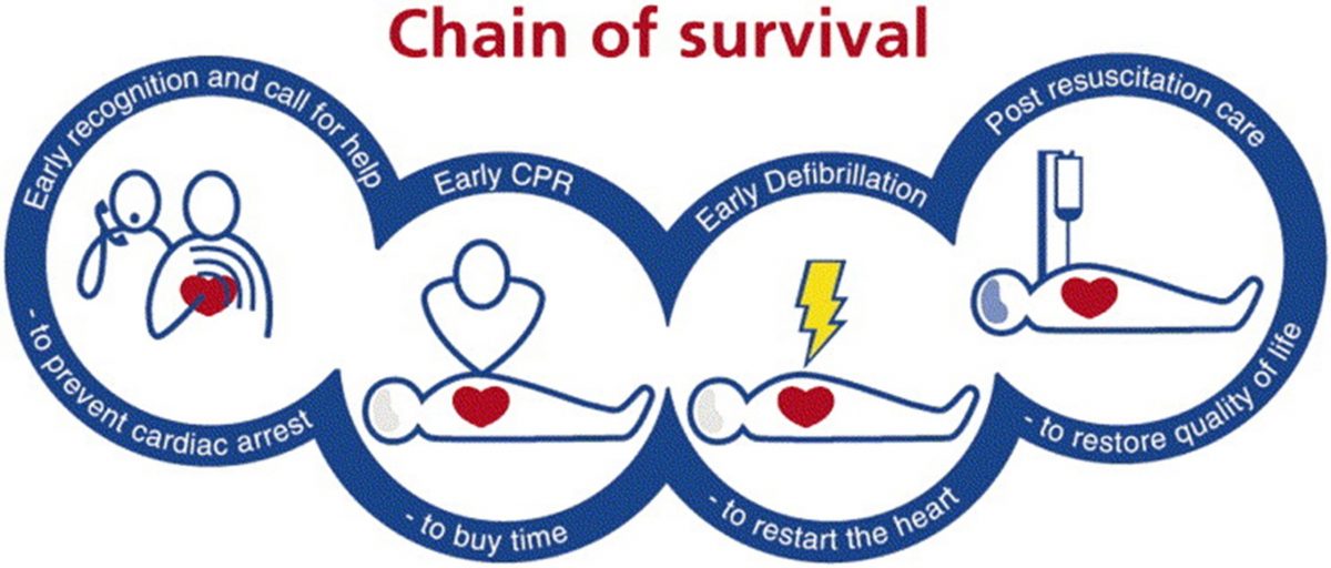 Chain of Survival for Cardiac Arrest