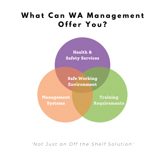 What Can WA Management Offer You venn diagram including Health & Safety Services, Management Systems and Training to create a safe working environment.