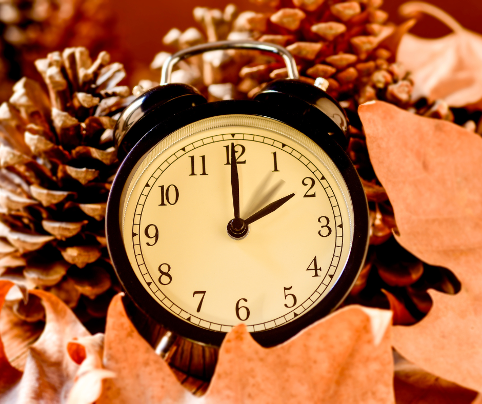 Alarm clock in autumn leaves